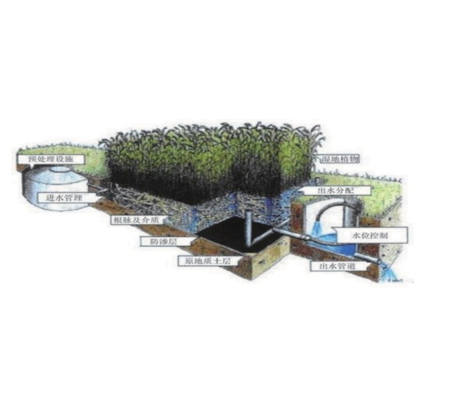人工湿地处理技术