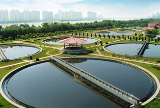 技术研发和咨询