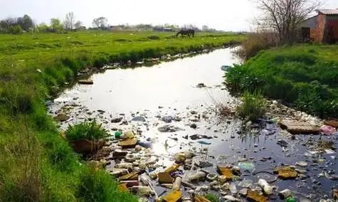 重庆将全面完成农村黑臭水体清零