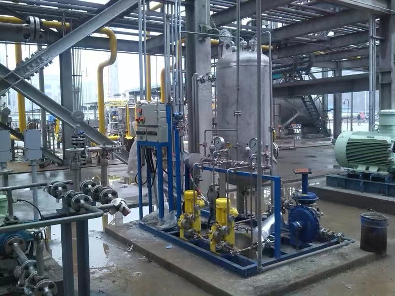 浙江巴陵恒逸己内酰胺有限责任公司项目